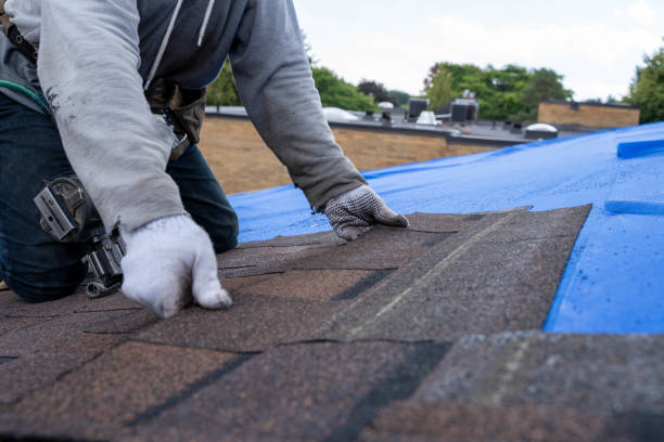 Roof Gutter Cleaning in Spring Hope, NC